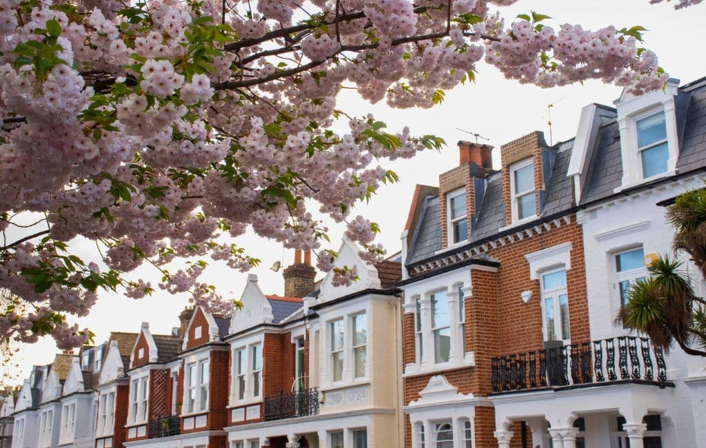 cherry blossom in London Deposit photos