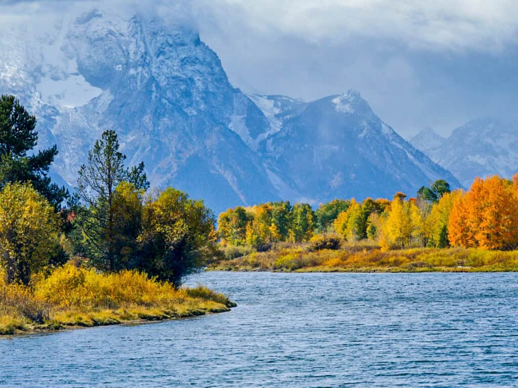 fall foliage lining oxbow bend with grand tetons in background