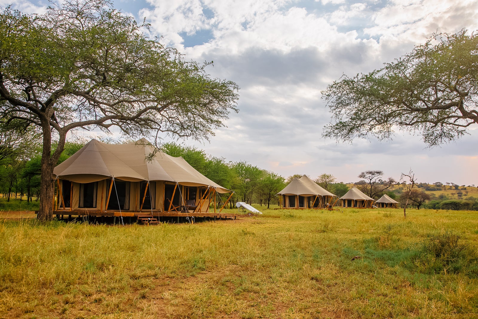 Cherero Camp