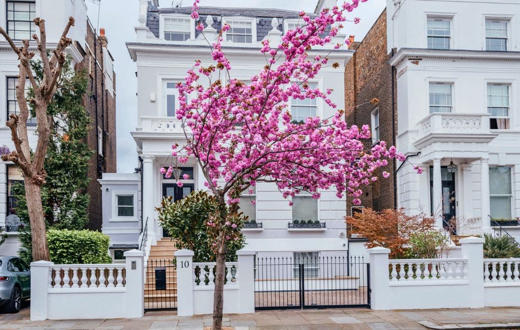 cherry blossom in London: Depositphotos