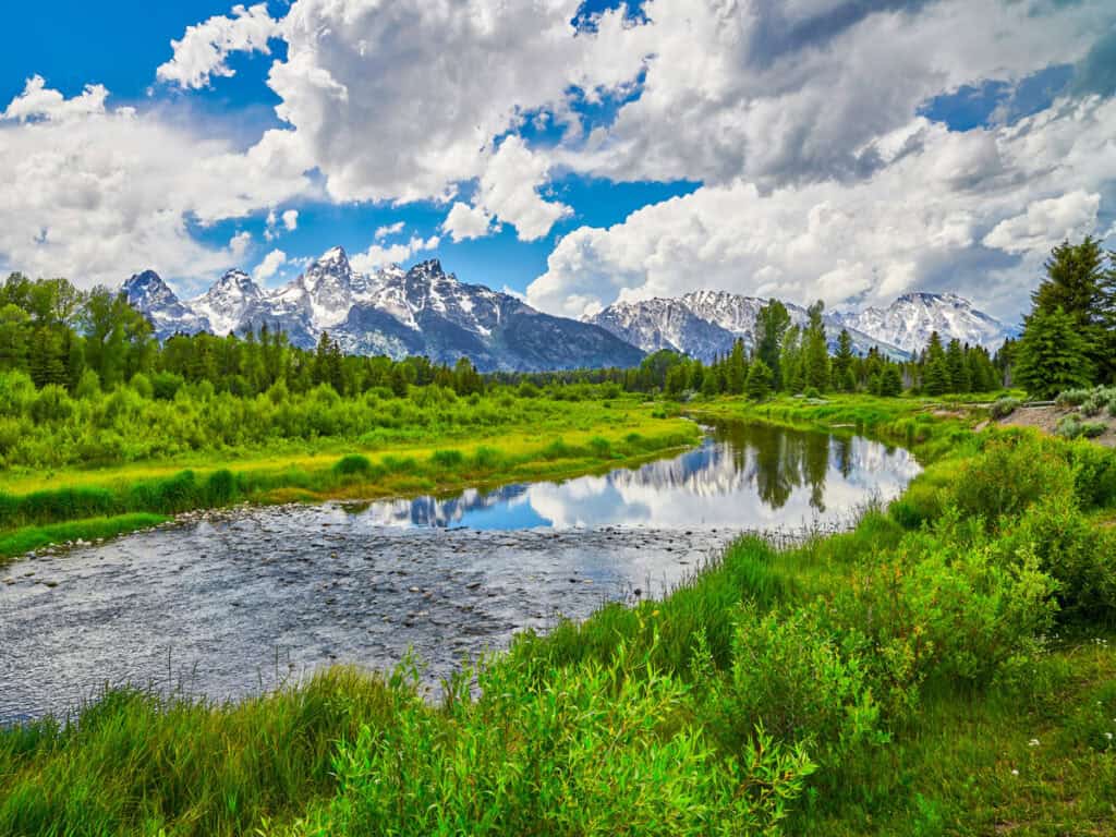 snake river and lush green banks and grand tetons in background at schwabacher landing