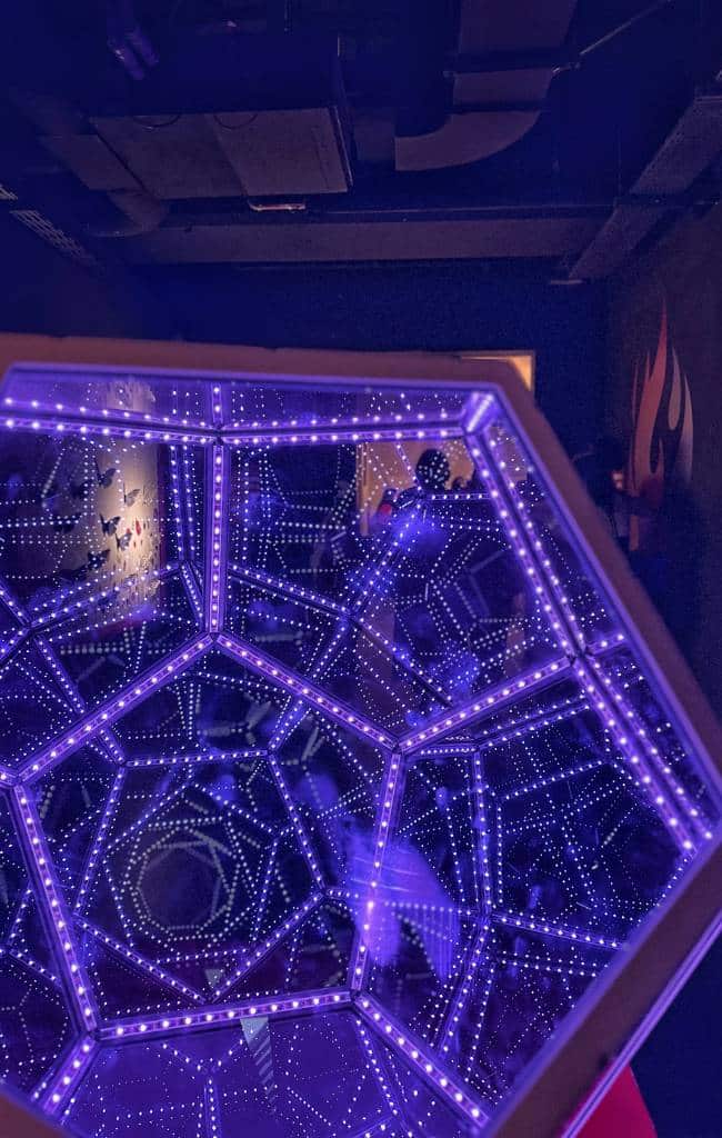 Paradox Museum London