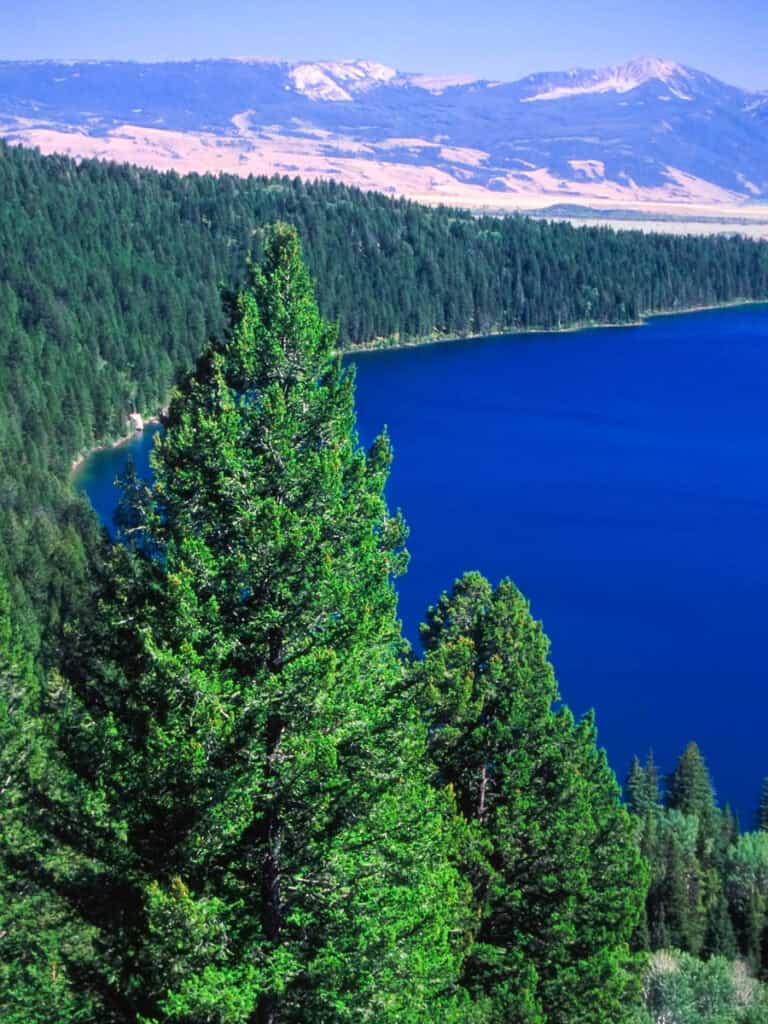 view over phelps lake