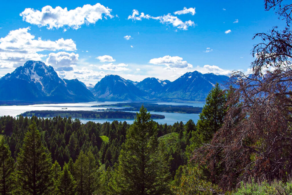 view of jackson lake from signal mountain overlook