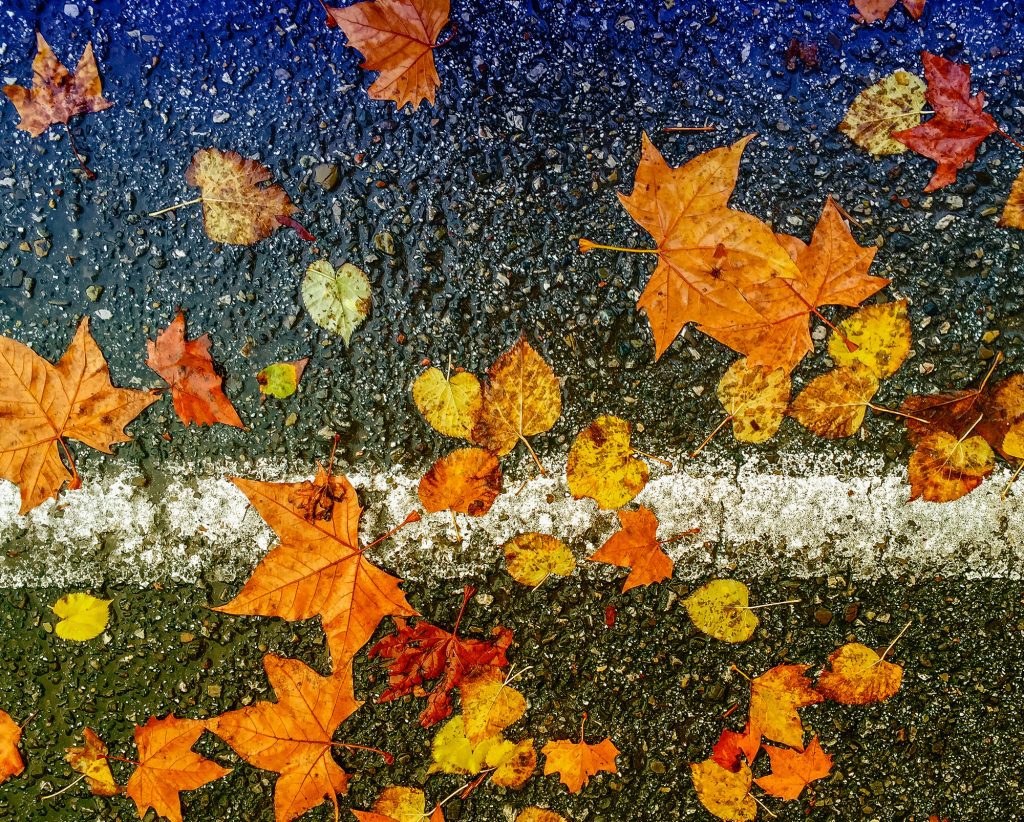 Things to do in London in October half term