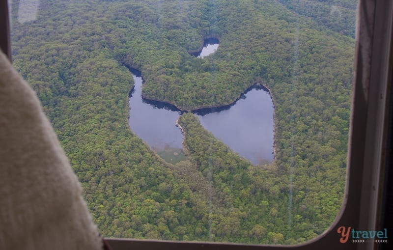 aerial view of butterfly lake surrounded by forest