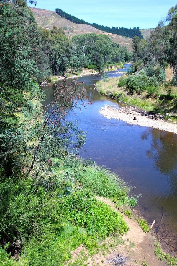 river beside rail trail in Bright, Victoria, Australia