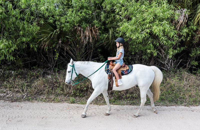 young girl riding a white hourse through the maritime forest. 