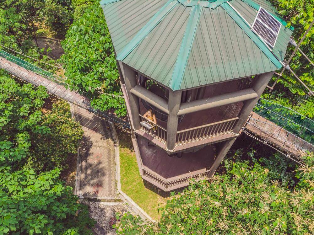 tower and elevated canopy walkway at eco park