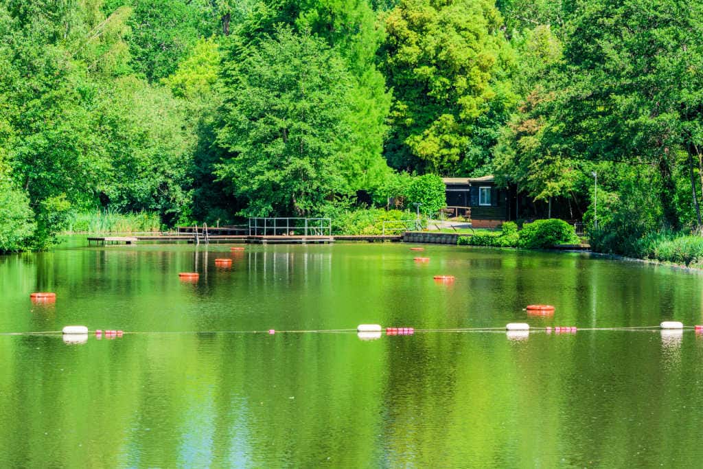 Free things to do in London with kids