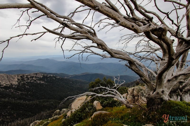 view over mountain ranges and valley at Mt Buffalo, Victoria, Australia