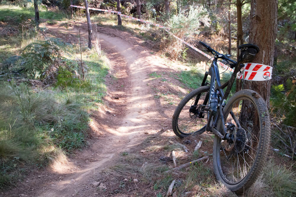 mountain bike against tree at Mystic Mountain Bike Park