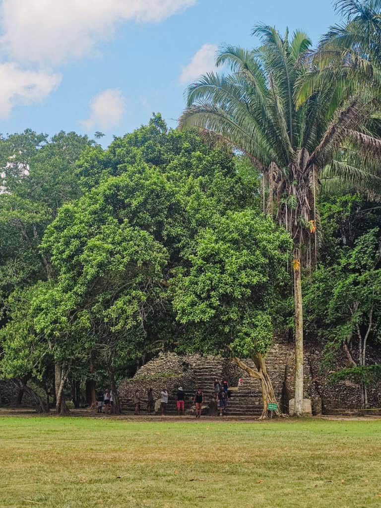Xunantunich mound with palm trees in front