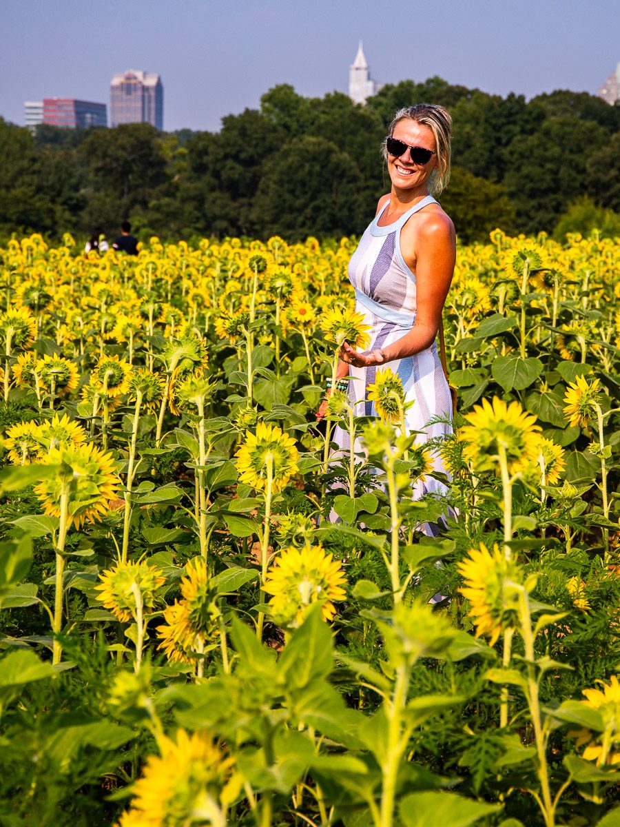 woman in sunflower field with raleigh skyline behind