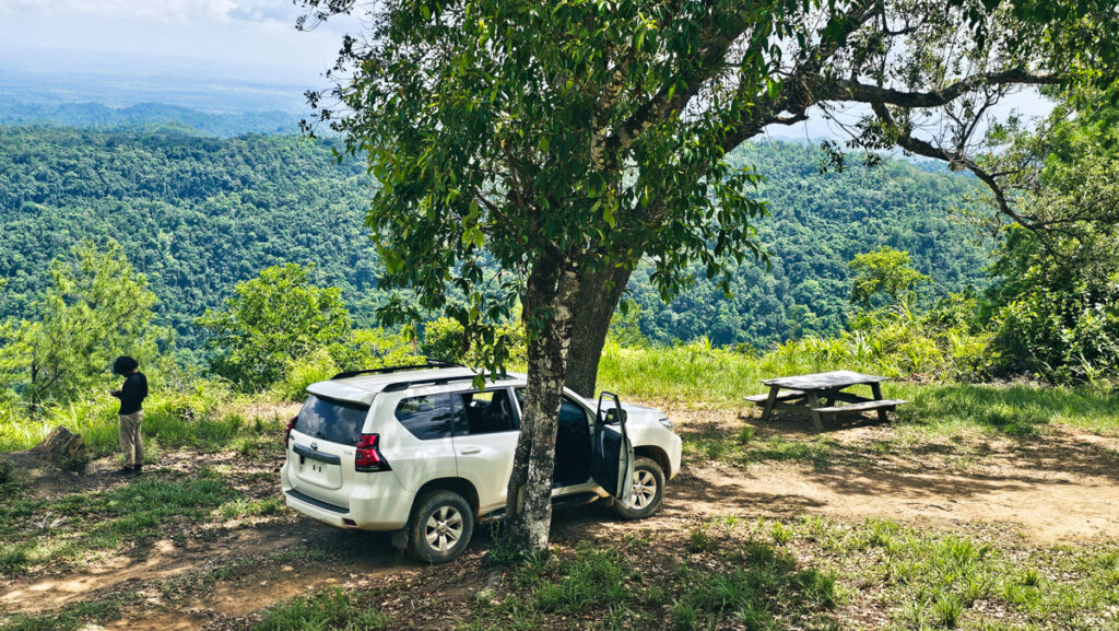 car parked beside tree with views