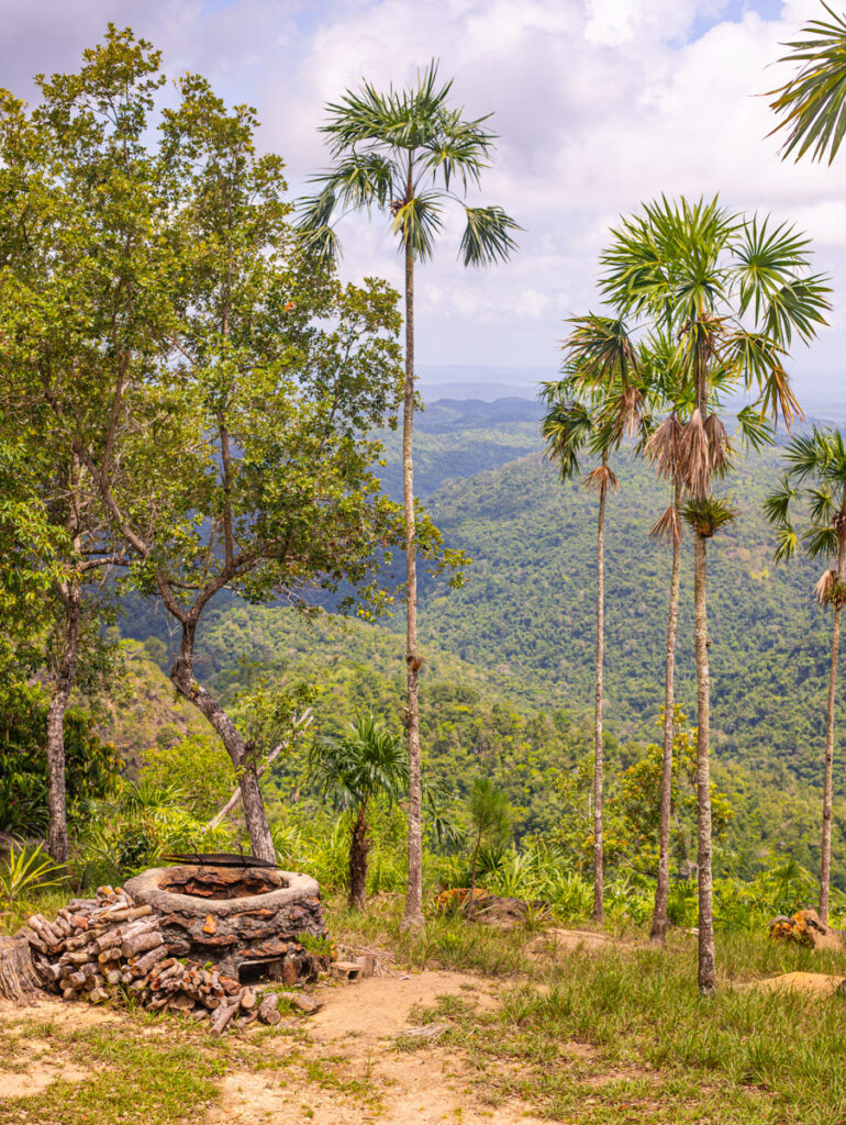 view of belize jungle and mountains