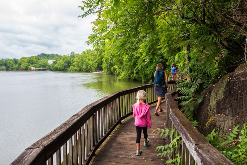 family walking on boardwalk next to river  Ijams Nature Center