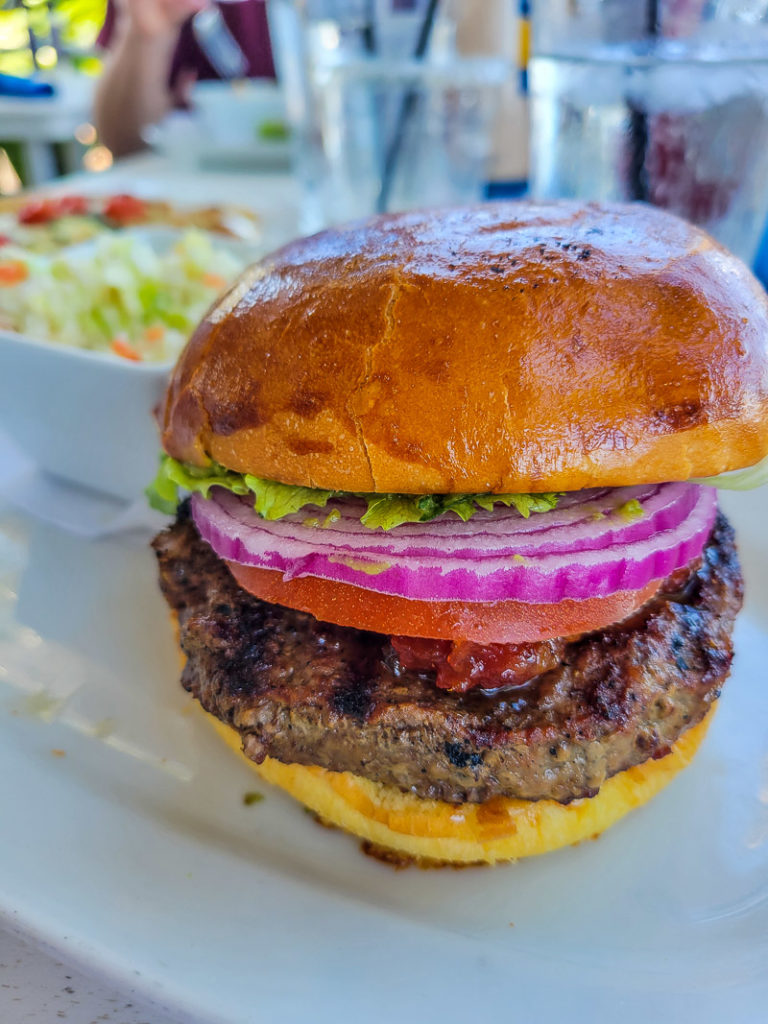 burger on a plate