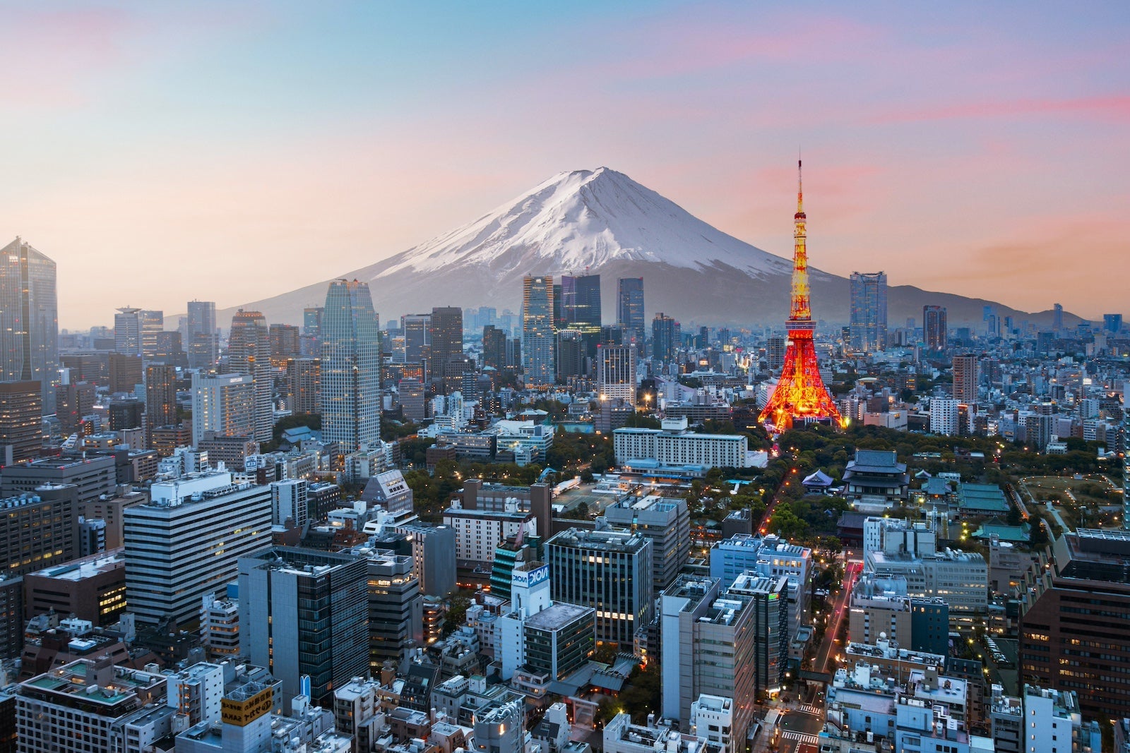 Mt. Fuji and Tokyo skyline